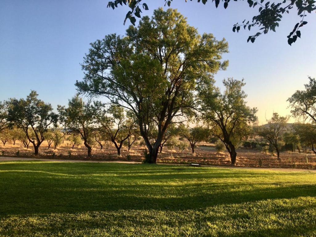 Finca El Relax Colmenar de Oreja Luaran gambar