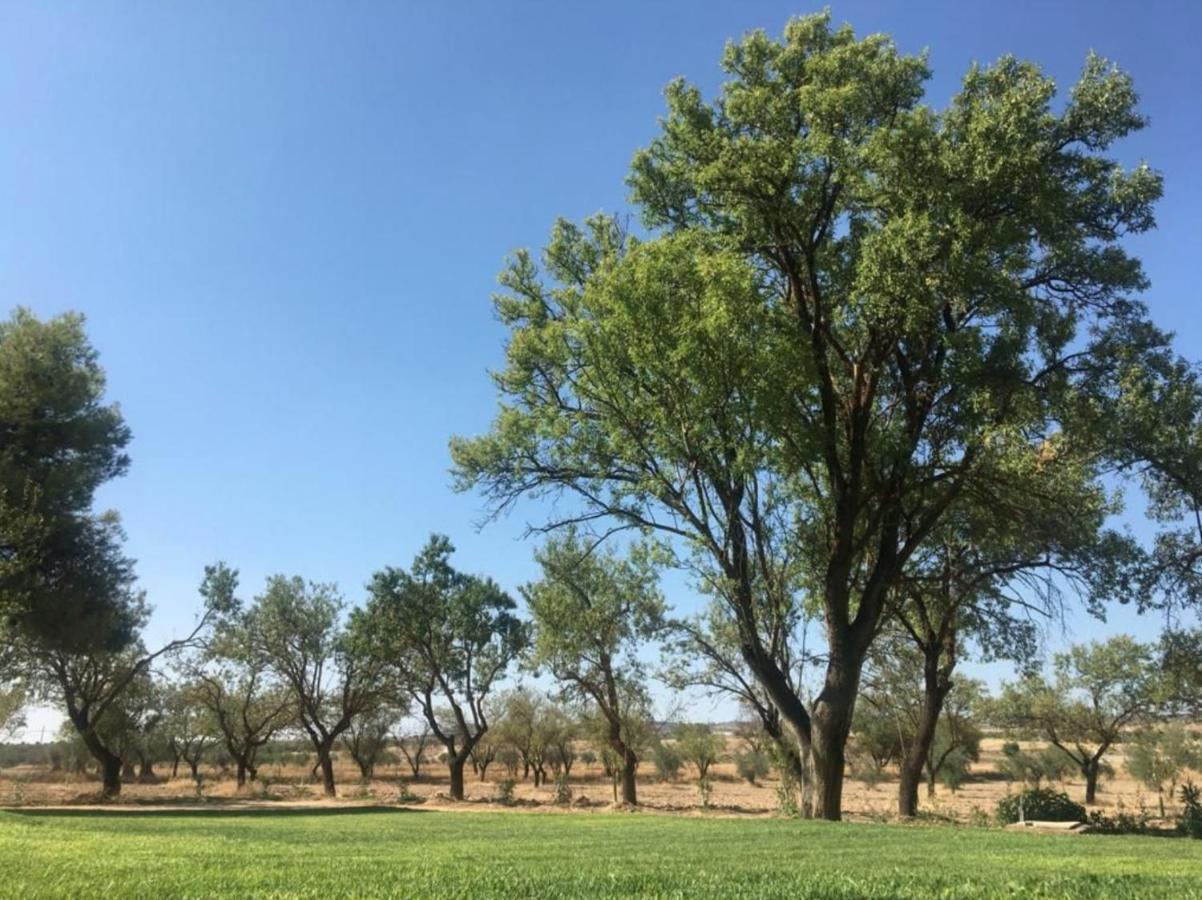 Finca El Relax Colmenar de Oreja Luaran gambar